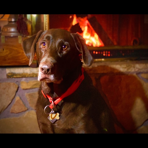 Meet your Posher, Scott - Picture 2 of 3